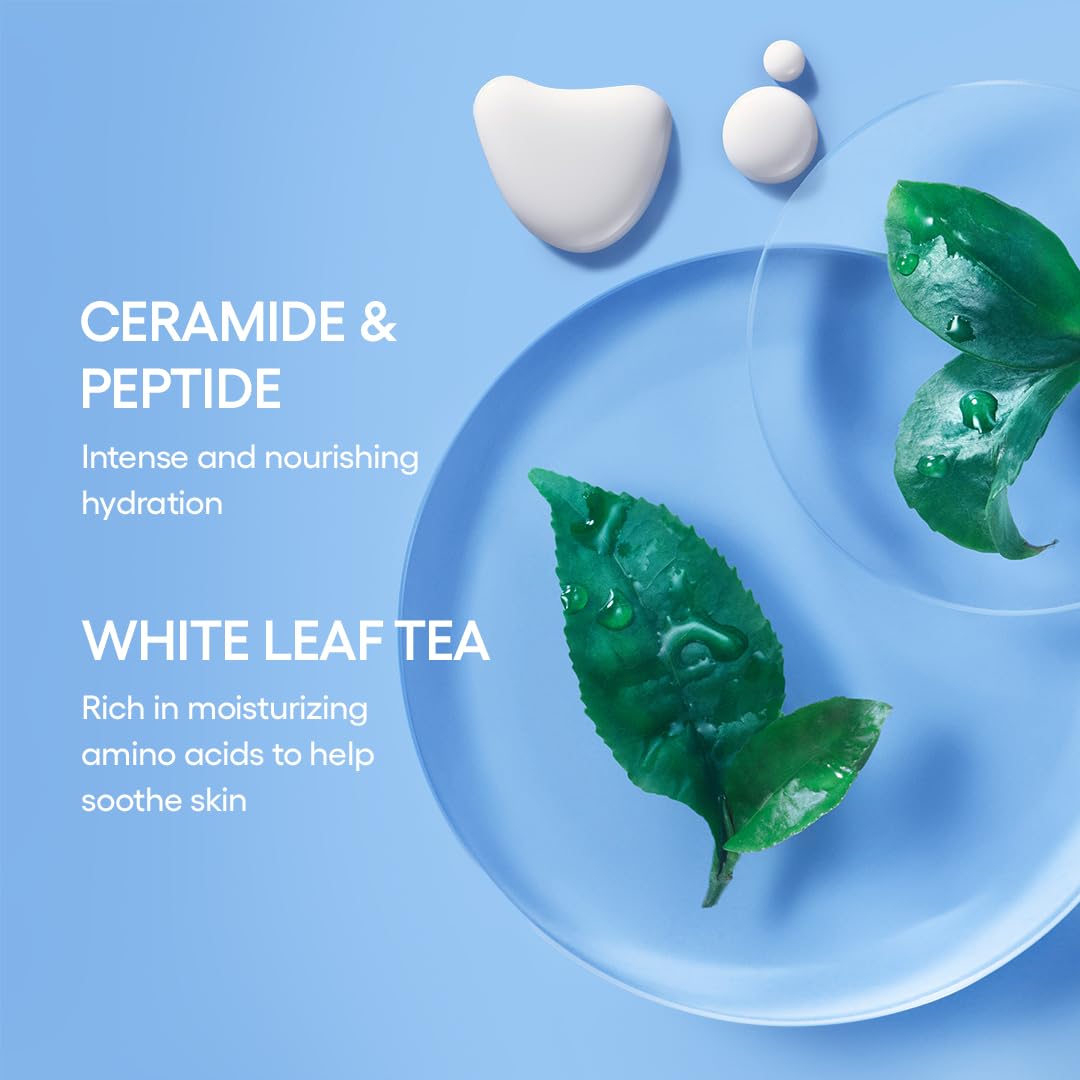LANEIGE Water Bank Blue Hyaluronic Cream Moisturizer
